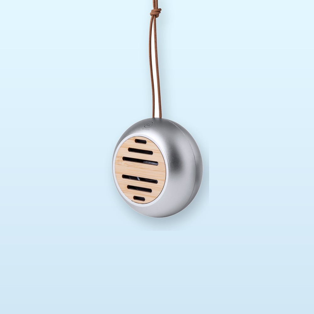 Altoparlante wireless