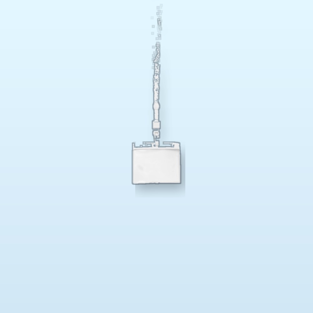 Lanyard porta badge