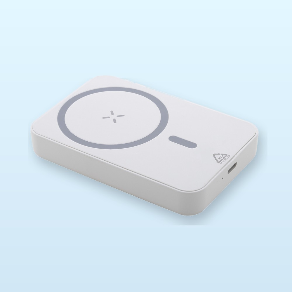 Power Bank in RABS