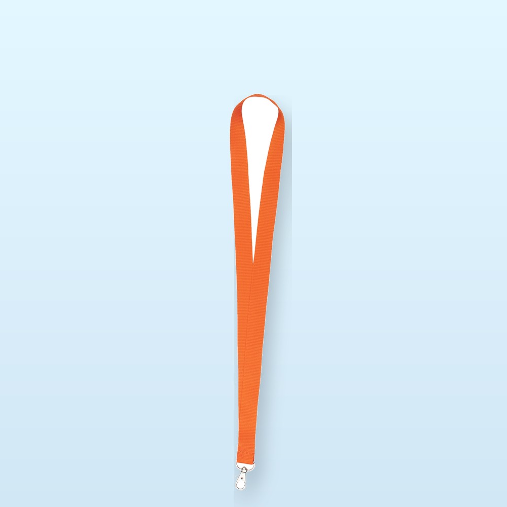 Lanyard