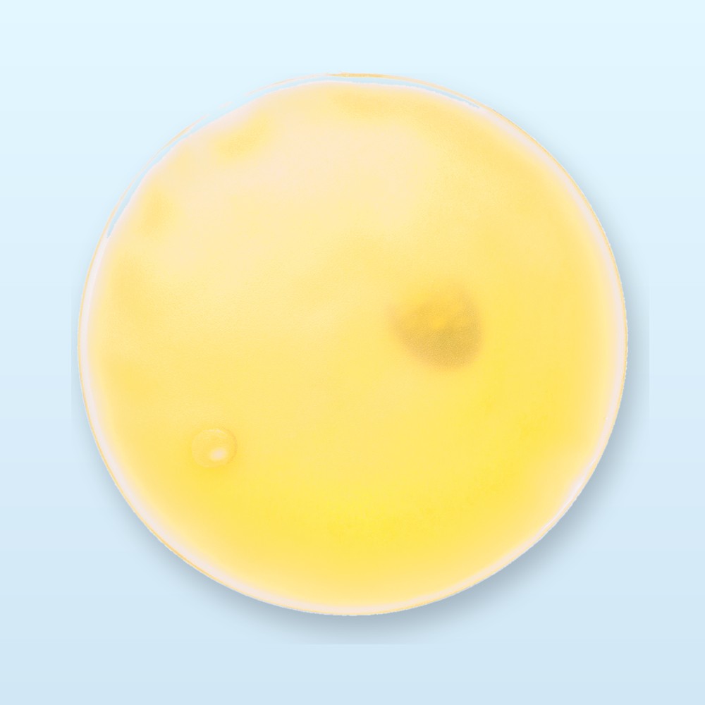 giallo