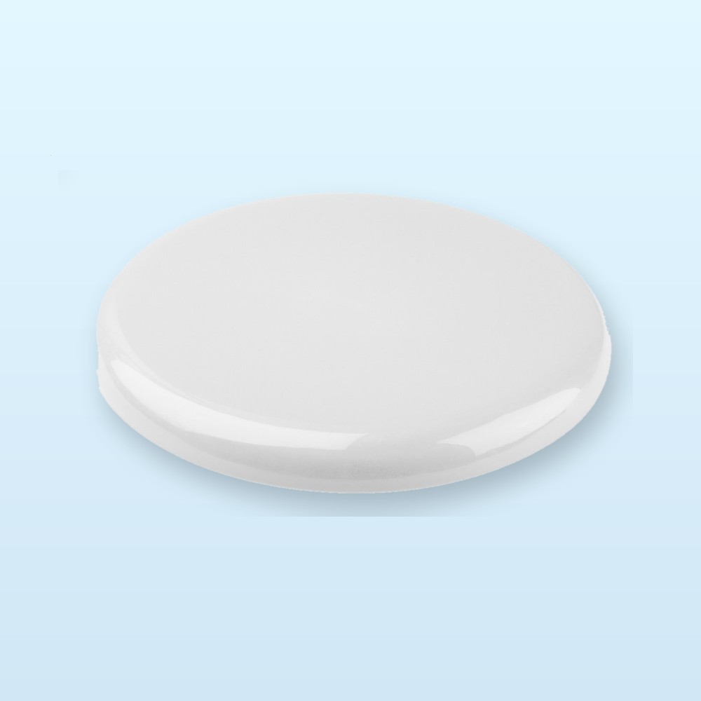 Frisbee