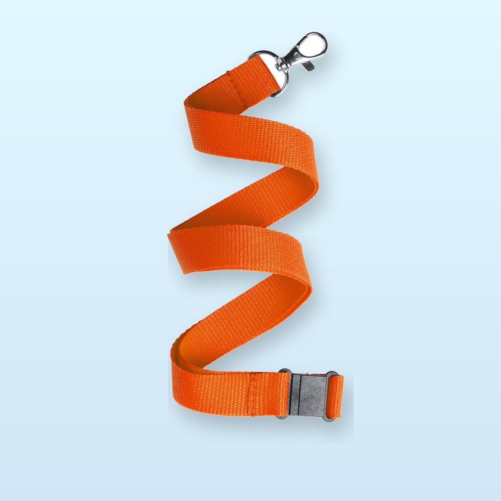 Lanyard